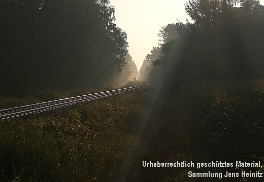 EBOE Heeder Tannen Blick nach Osten Nebel 11-Sep-2019 4 J Heinitz